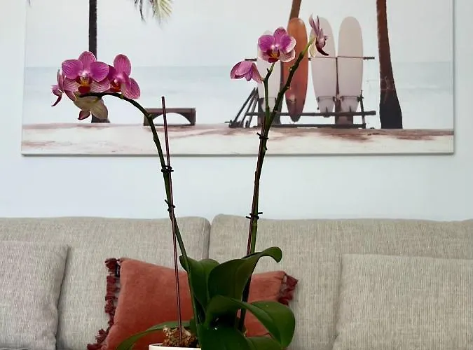 Sunny Coolum Beach Retreat